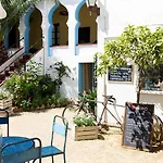 L'estrella Palafrugell