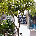 L'estrella * Palafrugell