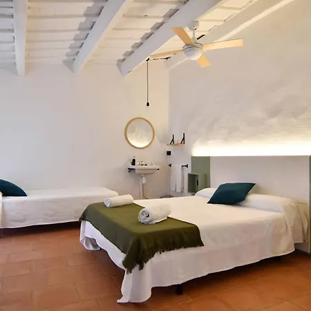 L'estrella Palafrugell
