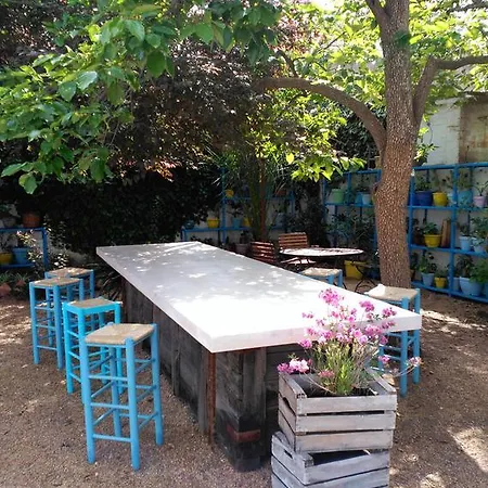 L'estrella Palafrugell