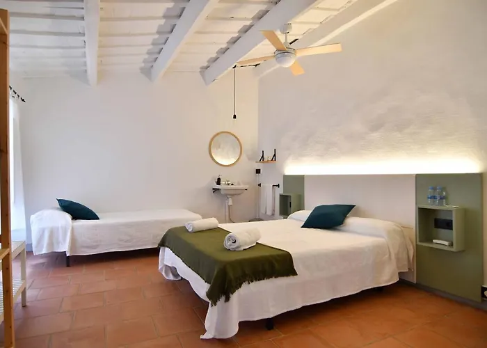 L'estrella Palafrugell