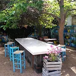 L'estrella Palafrugell